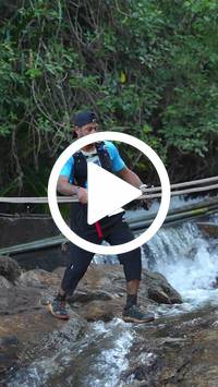 BIB:  <button type="button" onclick="openModal(27738073)" class="btn btn-primary btn-sm float-right" data-toggle="modal" data-target=".modal-high-quality">
                <i class="fa fa-download"></i> Download
                </button>